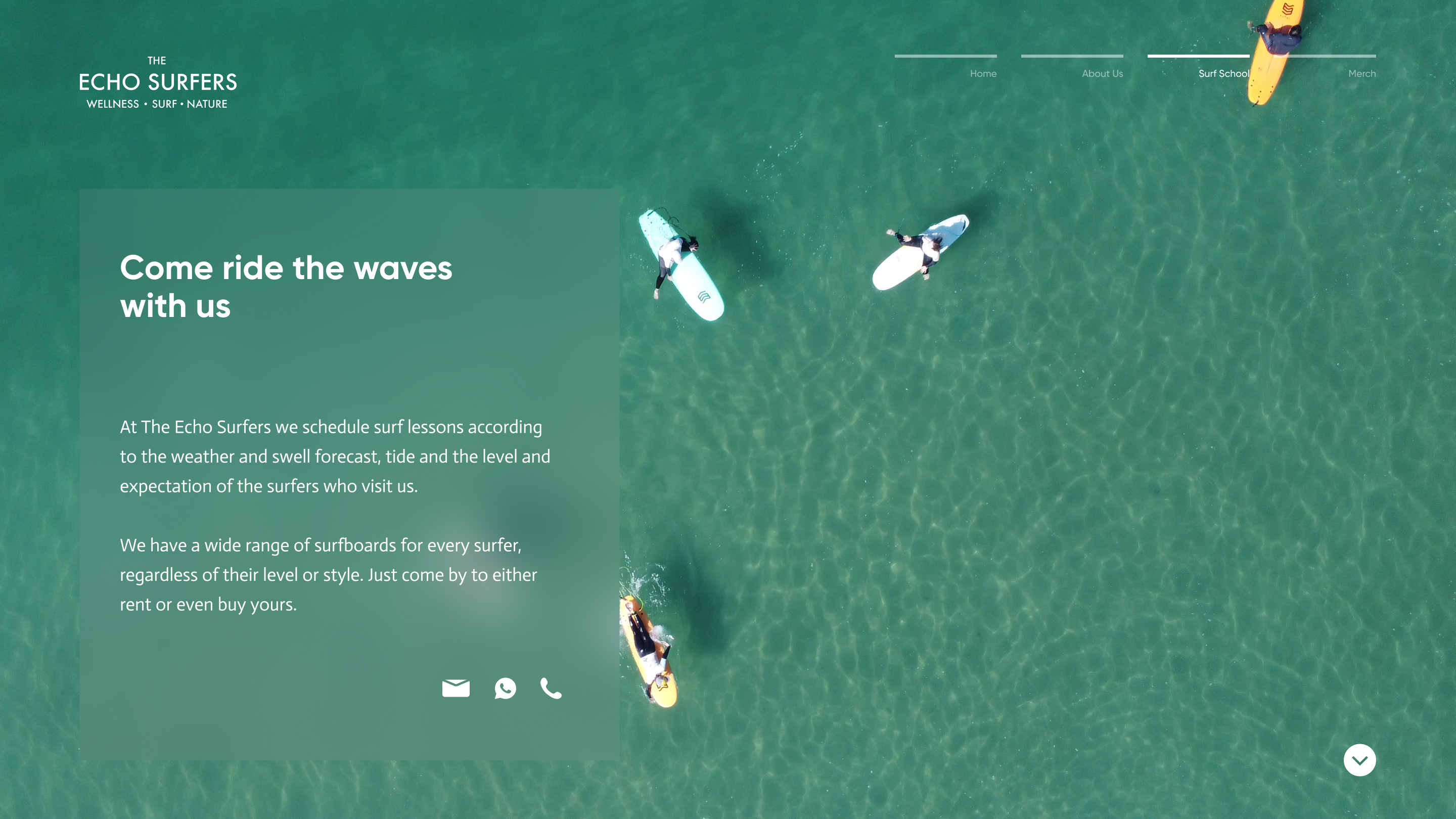 Website The Echo Surfers